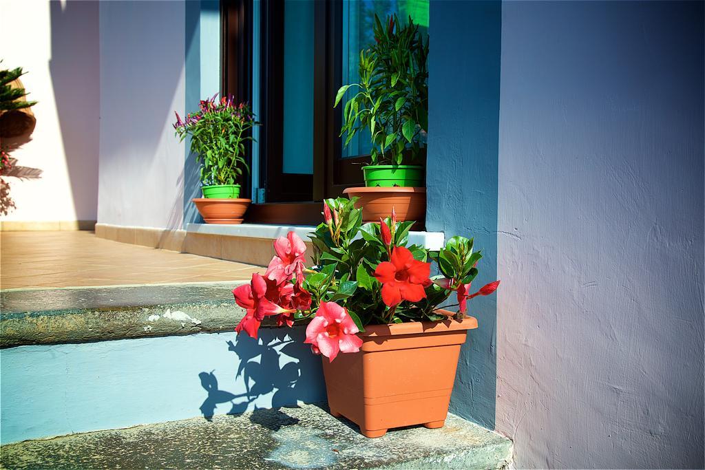 Il Giardino Segreto Sorrento Exterior foto
