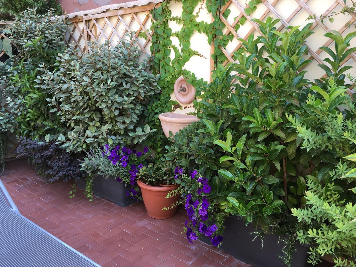 Il Giardino Segreto Sorrento Exterior foto